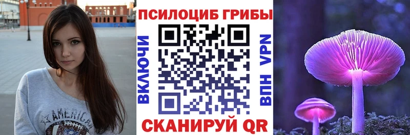 Псилоцибиновые грибы Psilocybine cubensis  магазин  наркотиков  Жуковский 