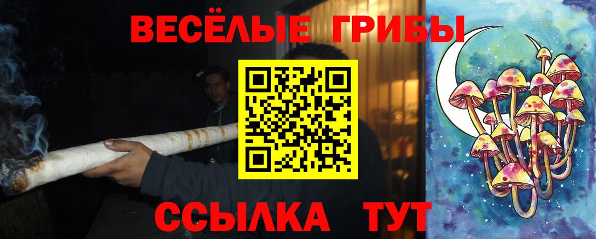 Жуковский  Псилоцибиновые грибы Psilocybine cubensis  Галлюциногенные грибы мухоморы  Вход с VPN 